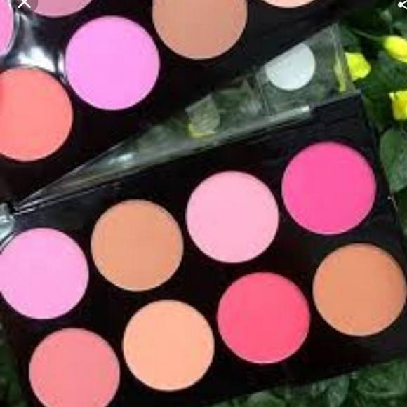 Nabi Other - COLOR FIX Blush Palette